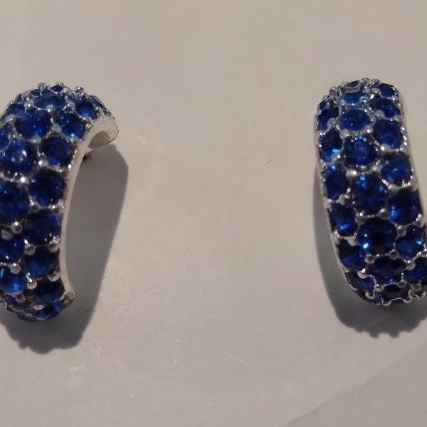 Photo of Blue Stone Earrings  (NEW)