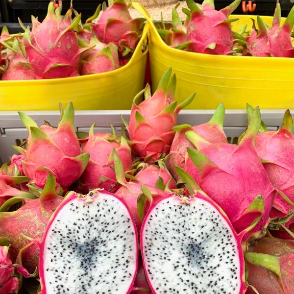 Photo of Dragon fruit for sale