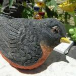 Realistic Robin Bird Garden Decor