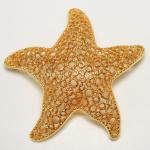 Cute Vintage M Gent Gold Tone Starfish Brooch