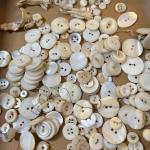 Lot of Antique Vintage Abalone Carved Buttons