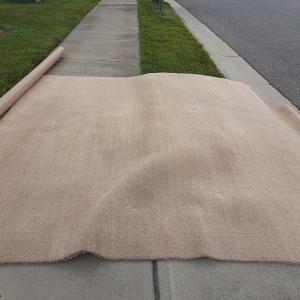 Photo of Carpeting