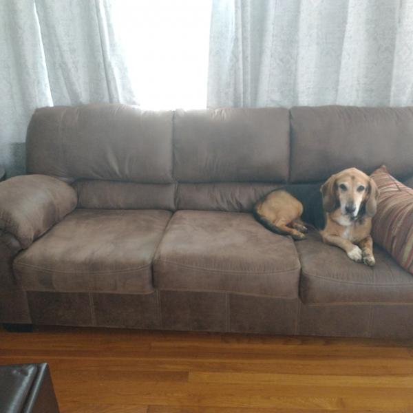 Photo of Brown sofa and recliner 