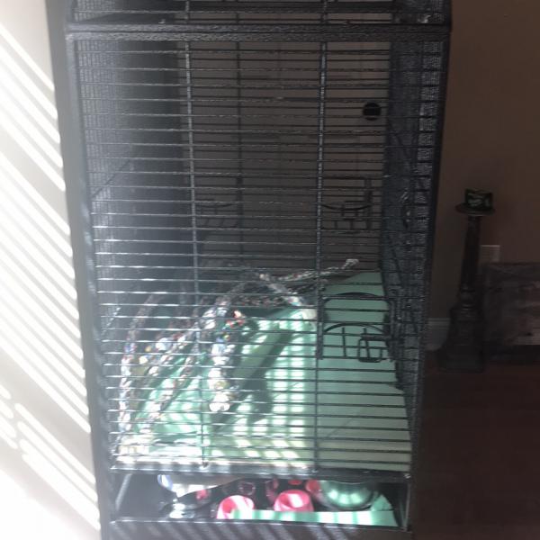 Photo of Bird Cage