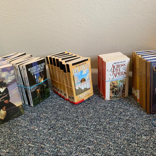 Photo of Classic Novels for youth