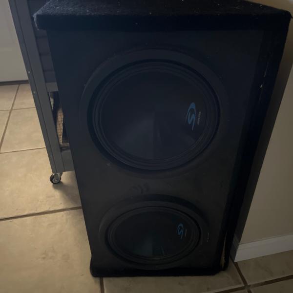 Photo of 2 twelve inch Alphines with none ported box