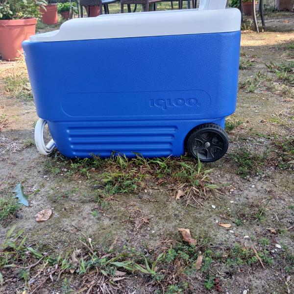 Photo of Igloo  38 Qt. Blue Cooler