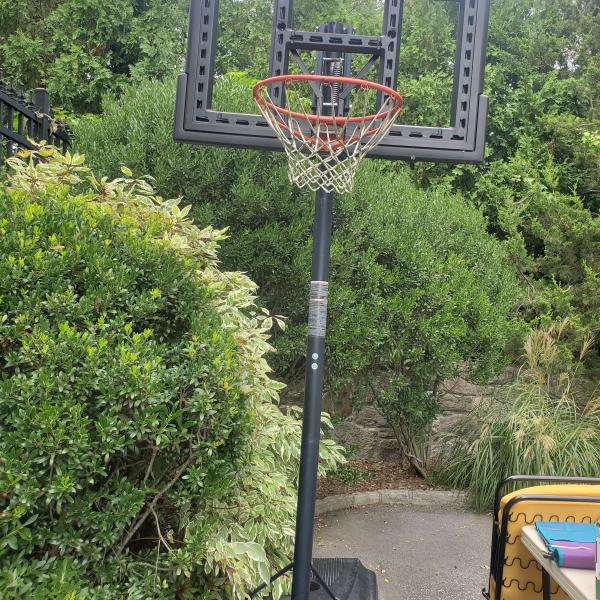 Photo of Lifetime basketball hoop