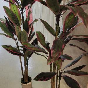 Photo of Artificial Plants  Large 2