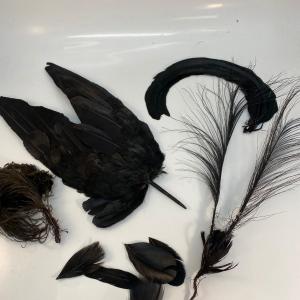 Photo of Black Vintage Feather Lot