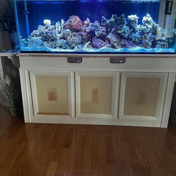 Photo of 72 x 18 x 24 trimless with lids fish aquarium