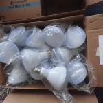 LED Light Bulbs 