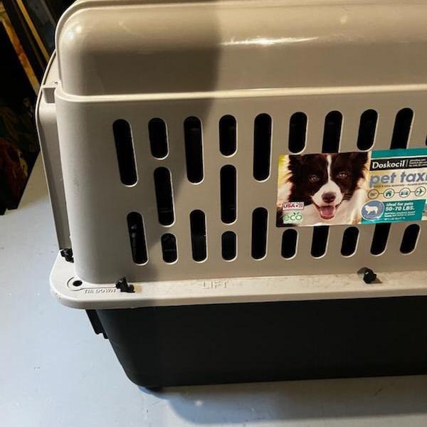 Photo of Pet Taxi/Crate