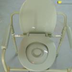 Portable toilet for handicapped