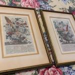 Williamsburg Floral Prints August & December - Matted/Framed