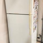 Lot #205 GE Refrigerator - great garage fridge