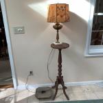 Unique Lamp w/ Botanical Shade and Wood Plant Stands (SR-HS)