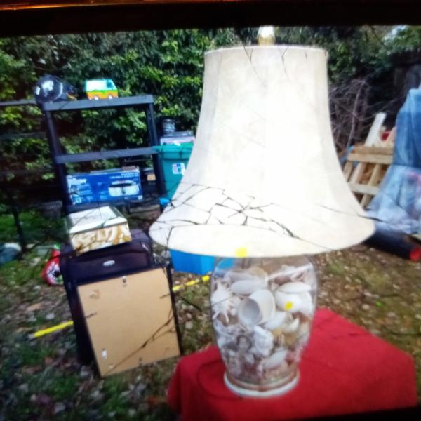 Photo of SHELL  LAMP