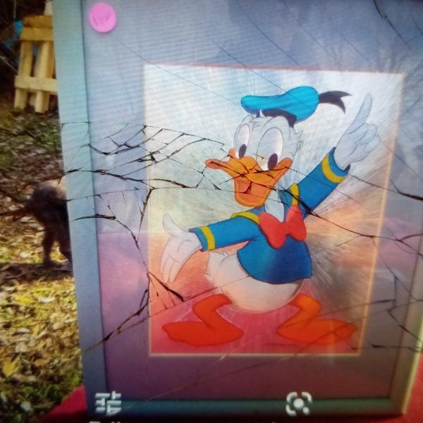 Photo of DONALD DUCK