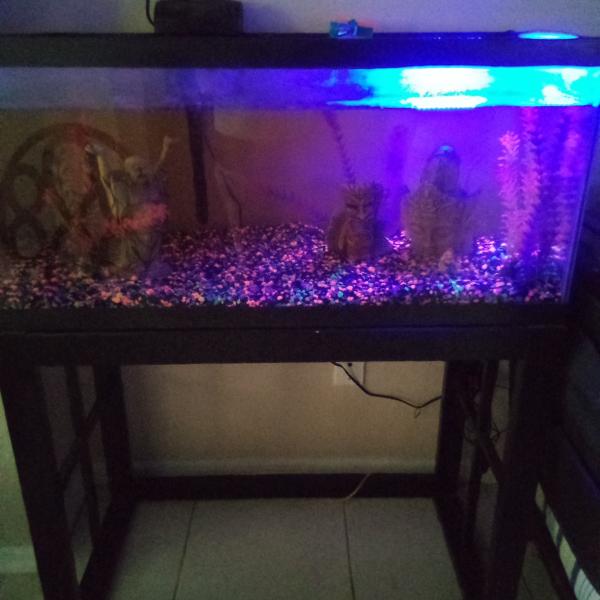Photo of TVs and Fish tank