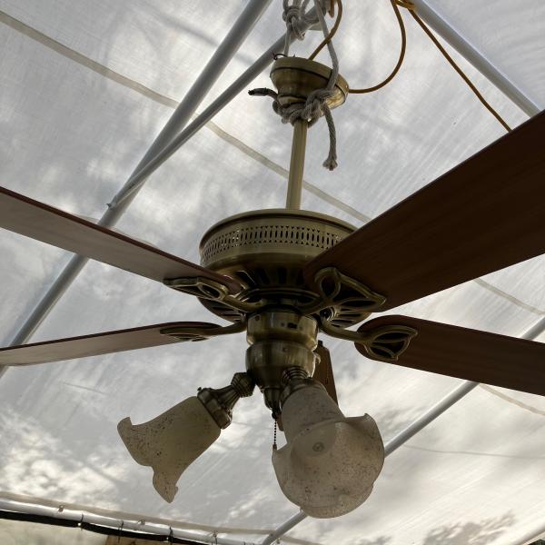 Photo of I have 3 ceiling fans $50 each like new 