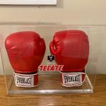 Oscar De La Hoya Signed Everlast Boxing Gloves with Display Case