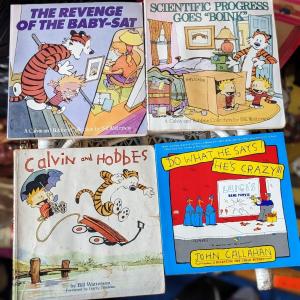 Photo of Collection of Calvin and Hobbes Books