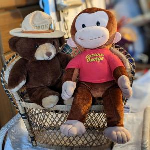 Photo of Wicker Chair with Smokey Bear and Curious George