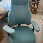 High Back Desk Chair with multiple adjustment levers