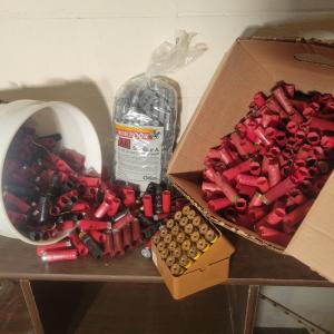 Photo of Bulk 12 & 20 Guage Shells and Wads (TR-DW)