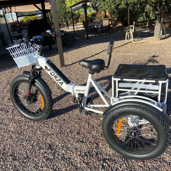 Photo of Adult Electric Trike