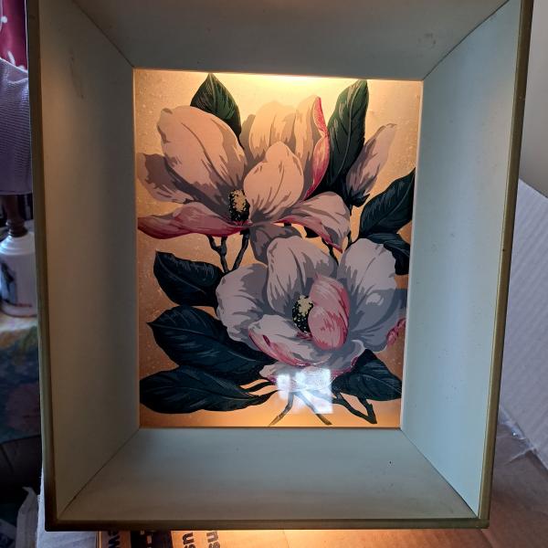 Photo of Lighted Floral  Picture