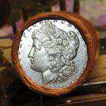 20 Morgan Coin Roll 1893 First Coin