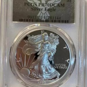 Photo of 1997 DCAM Silver Eagle