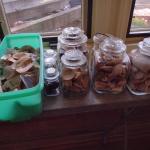 Collection of Lidded Glass Storage Jars with Shells