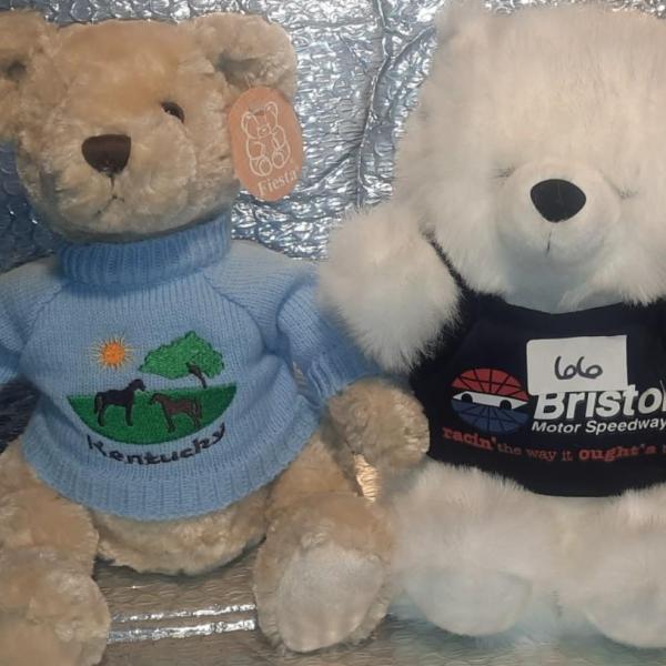 Photo of VERMONT AND BRISTOL SPEEDWAY BEARS