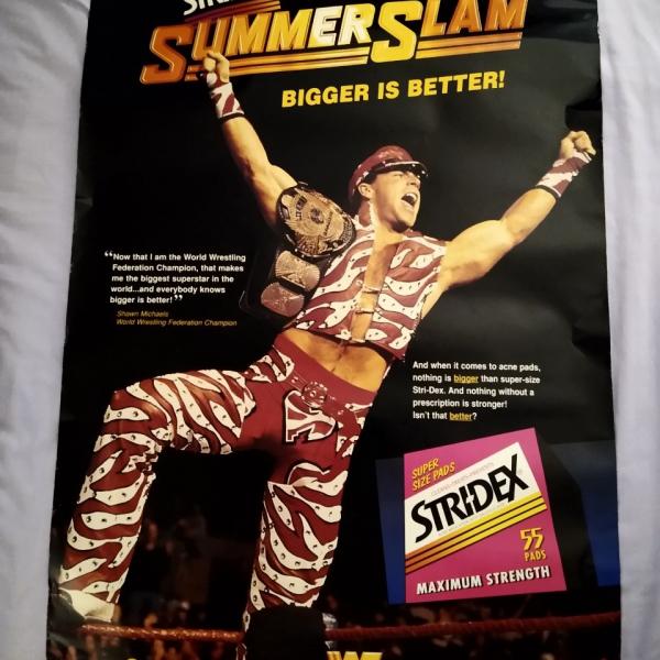 Photo of Vintage 1996 WWF SUMMERSLAM Poster SHAWN MICHAELS Rare