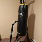 Everlast 80 lb punching bag, stand and gloves