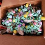 2 Large Boxes of Vintage Easter Decor Decorations Plush, Eggs, Toys, Sticker and