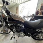 2004 Harley Davidson 1200 Custom Sportster
