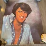 Loxi Sibley painting of Elvis