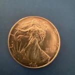 1994 Walking Liberty Silver Dollar Coin .999
