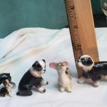 Miniature dog collection