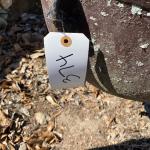 Tripod-Cast iron wash pot lot