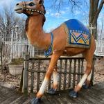Standing Fiberglass Camel