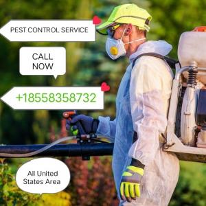 Photo of Pest Control Services 