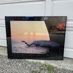 Lot 160 - Print of 2 dolphins framed