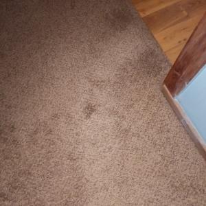 Photo of Carpet restretches and repairs