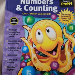 Photo of Numbers and counting workbookPre K-1