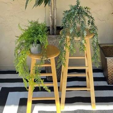 Photo of Stools make great Plant Stands!  $20 Each